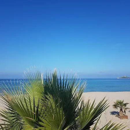 Butterfly 1 Sea And History *