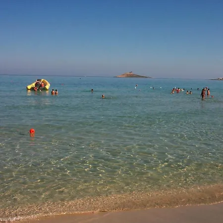 Butterfly 1 Sea And History