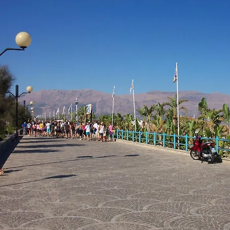 Butterfly 1 Sea And History Капачи