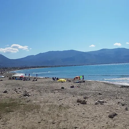 Butterfly 1 Sea And History *