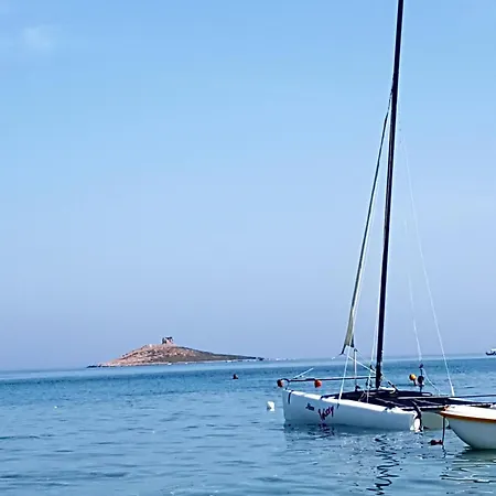 Butterfly 1 Sea And History