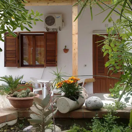 Butterfly 1 Sea And History *